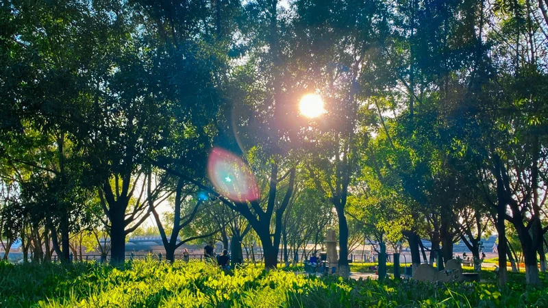 Биылғы жаз жылдағыдан ыстық болады – Экология министрі 