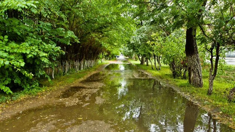 После дождя, лужи, Жаңбырдан кейін шалшық