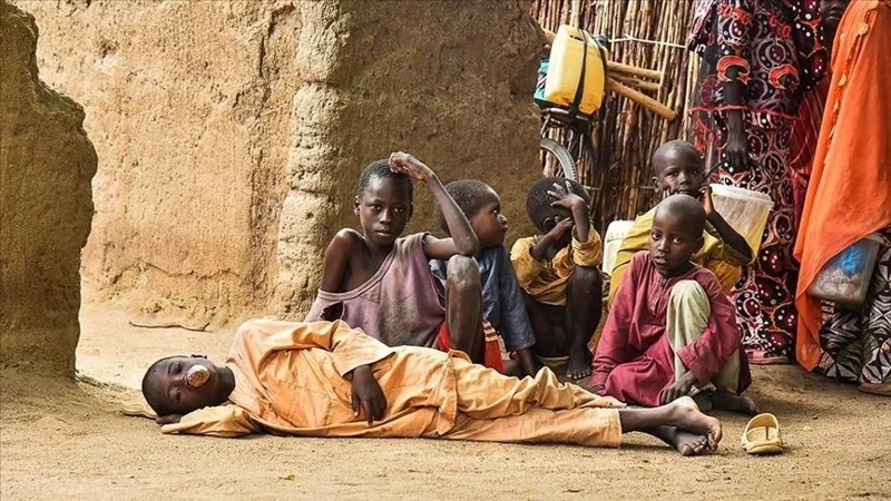 Нигерия азық-түлік қауіпсіздігіне төнген қатерге байланысты төтенше жағдай жариялады