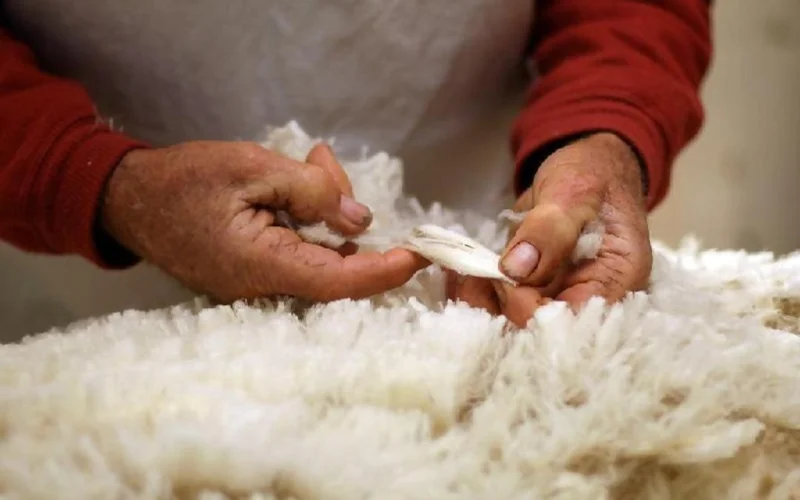 Казахстан отменит таможенные пошлины на вывоз шкур и шерсти сельхозживотных 