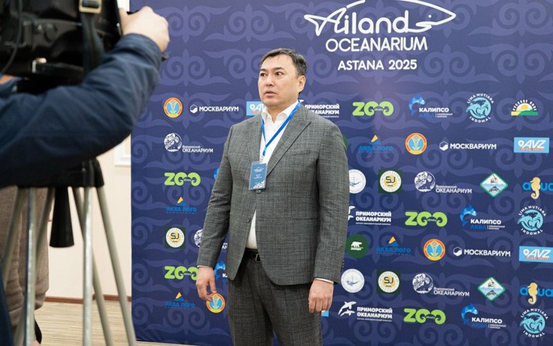 Директор ТОО «Ailand Astana» Маханов Арман Шихабадинович Директор ТОО «Ailand Astana» Маханов Арман Шихабадинович