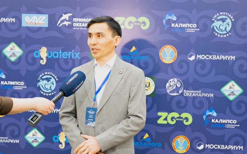 Руководитель отдела океанариума Ailand Мынбаев Данияр Жандосович Руководитель отдела океанариума Ailand Мынбаев Данияр Жандосович
