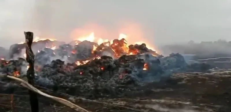 Шығыс Қазақстанда шаруа қожалығында 150 тонна пішен жанып кетті