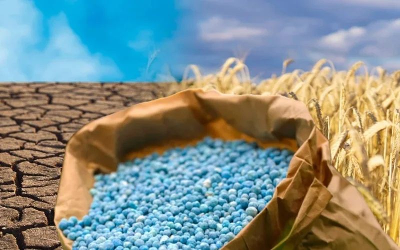 Что происходит на рынке минеральных удобрений Казахстана