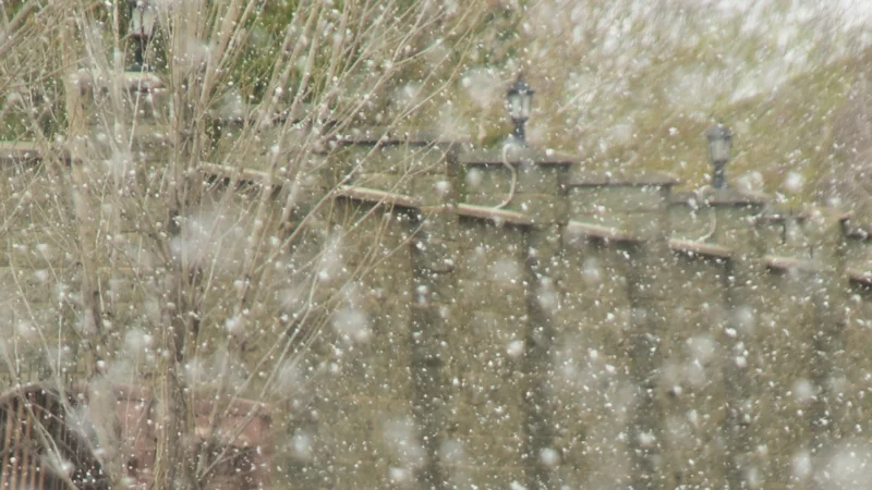 снег, погода, ауа райы, қар