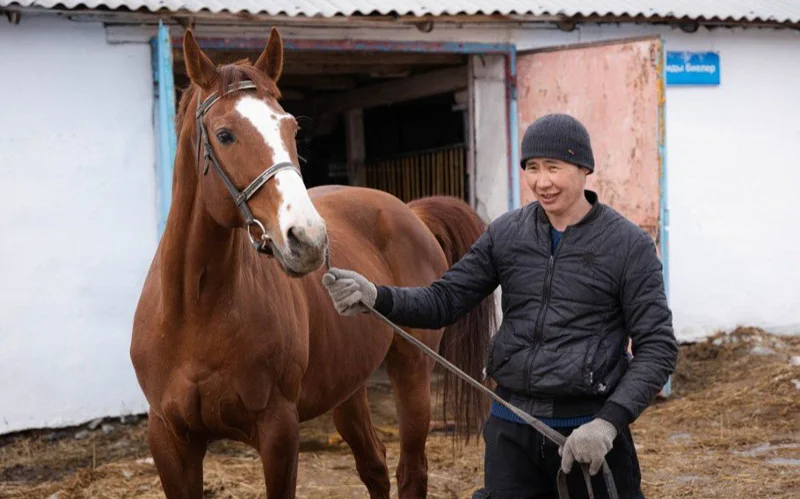 Костанайская порода лошадей под угрозой исчезновения