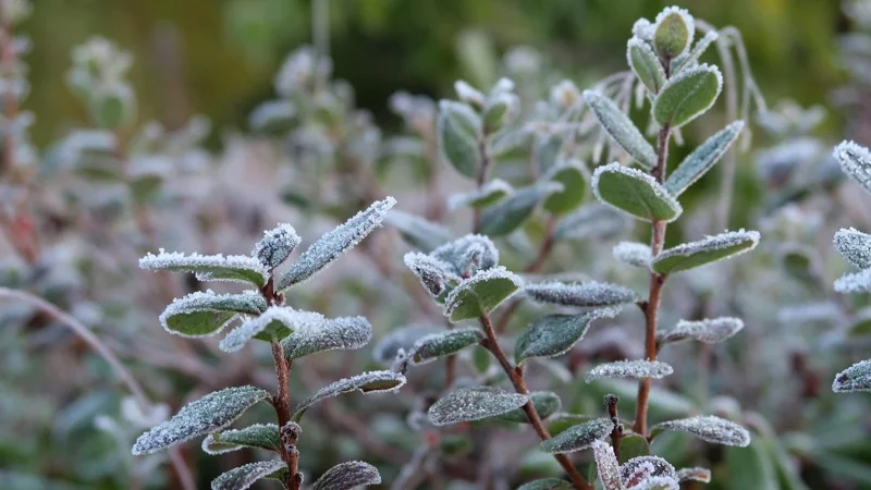 21 сәуірге арналған ауа райы болжамы
