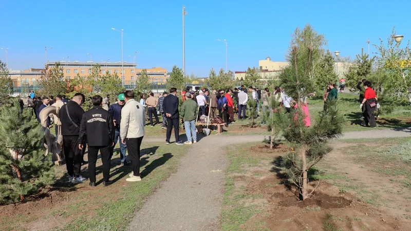 В Западно-Казахстанской области планируется высадить 228 тысяч саженцев
