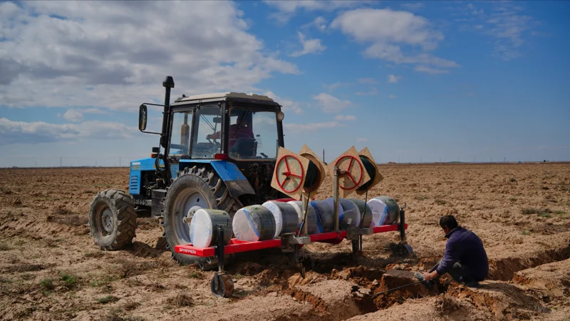 ауыл шаруашылығы, егістік
