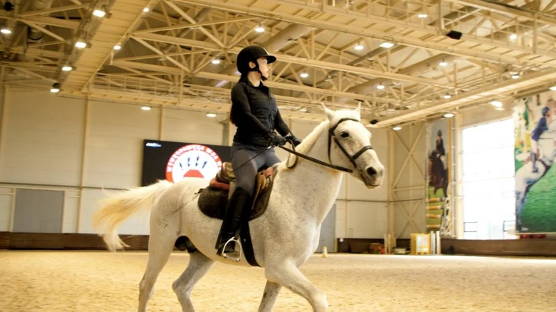 Елордалық спортшылар конкурдан өткен халықаралық жарыста 33 марапатқа ие болды