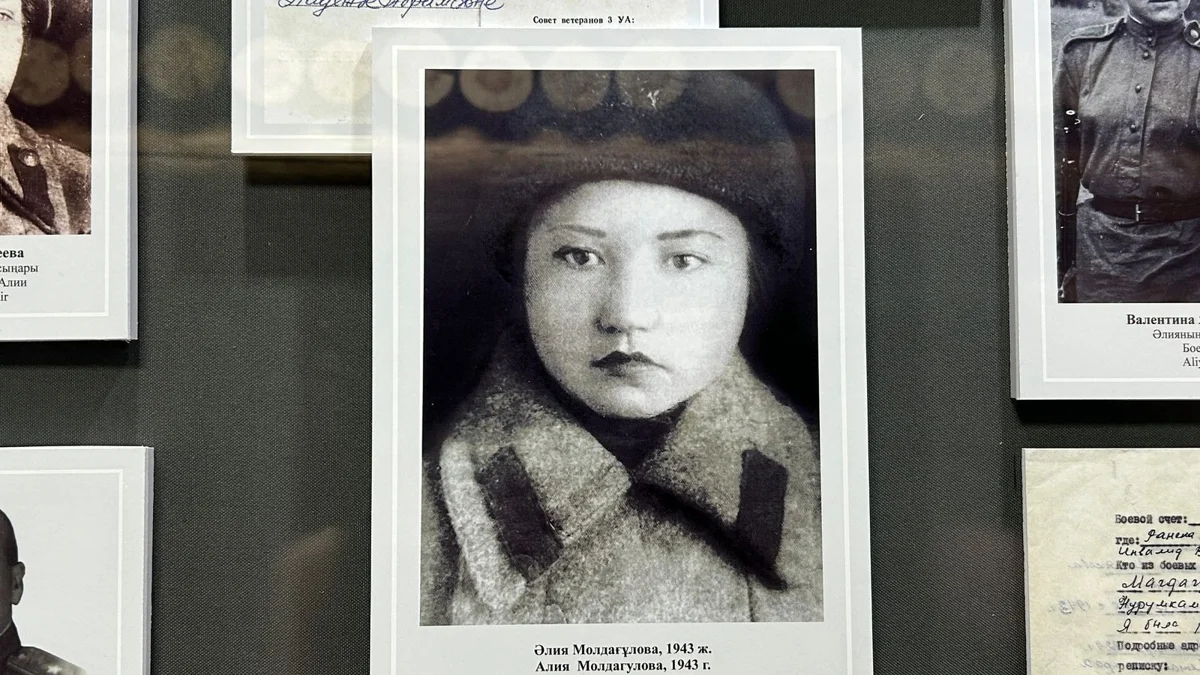 Кездейсоқ сұхбаттасушымен веб-камера арқылы жыныстық чат