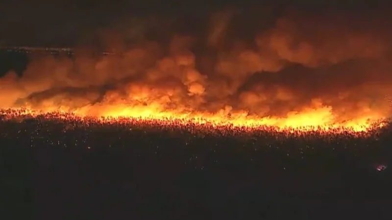 Более 3 000 человек эвакуировали в Нью-Джерси из-за лесного пожара