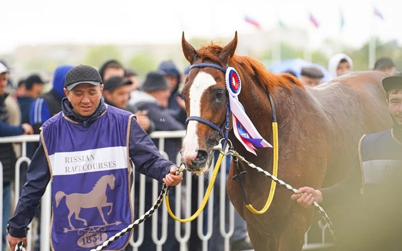 скакун Кабирхан