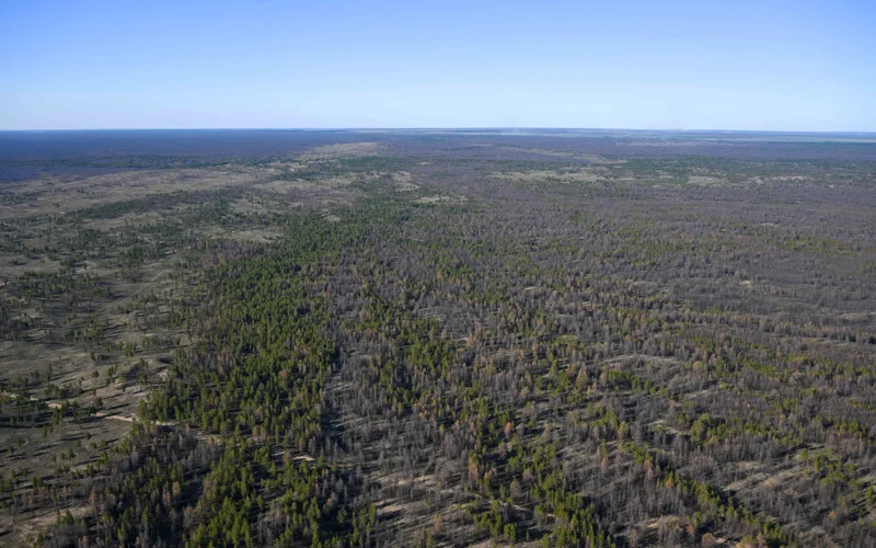 Канат Бозумбаев проинспектировал работу противопожарных служб в резервате «Семей орманы»