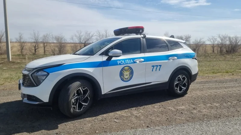 патрульные машины