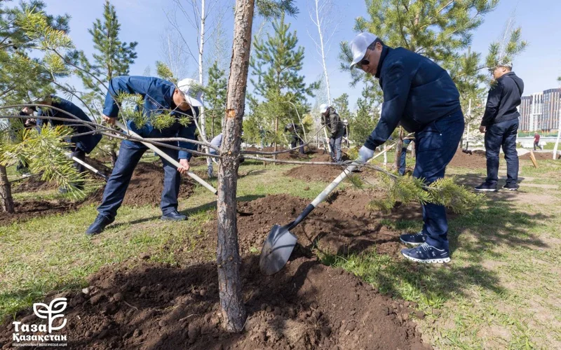 таза казахстан 