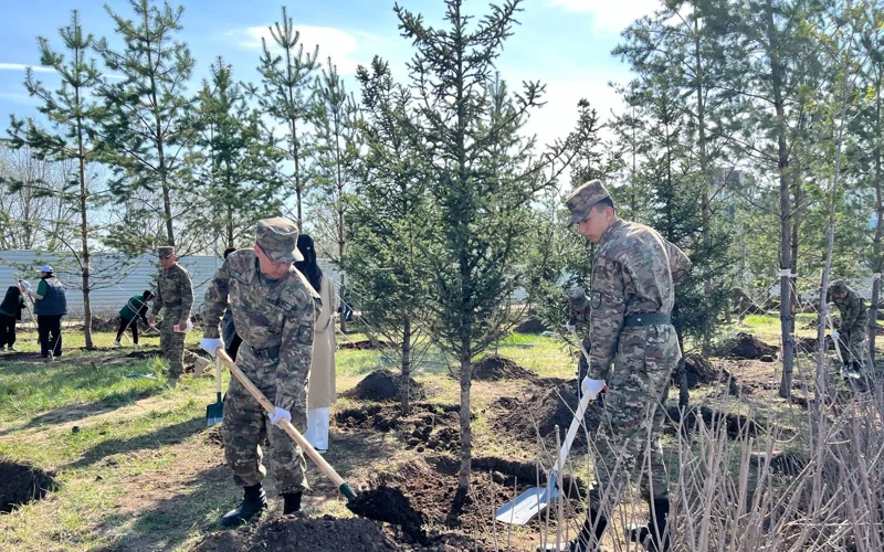 500 деревьев высадили в центре Астаны