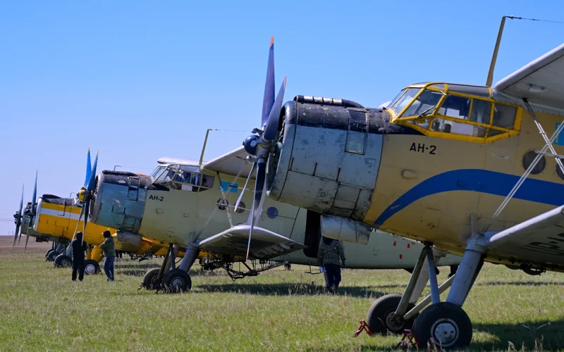 шыбын шіркей