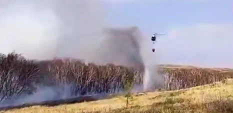 Пожар на территории Каркаралинского нацпарка потушили