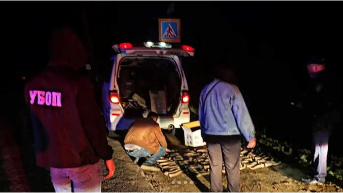 Batys Qazaqstanda avtokólikten 291 kıik múıizi shyqty