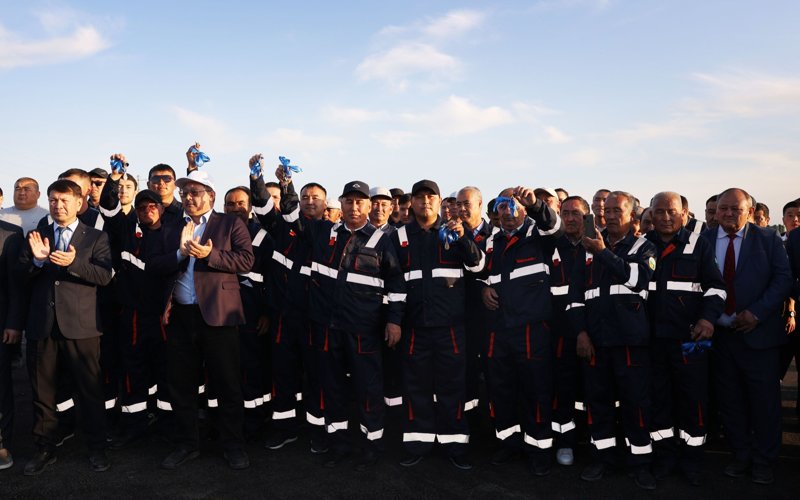 veterınar