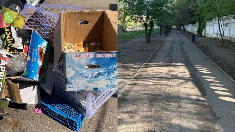 Almatyda jabaıy saýdamen kúres jalǵasyp jatyr 