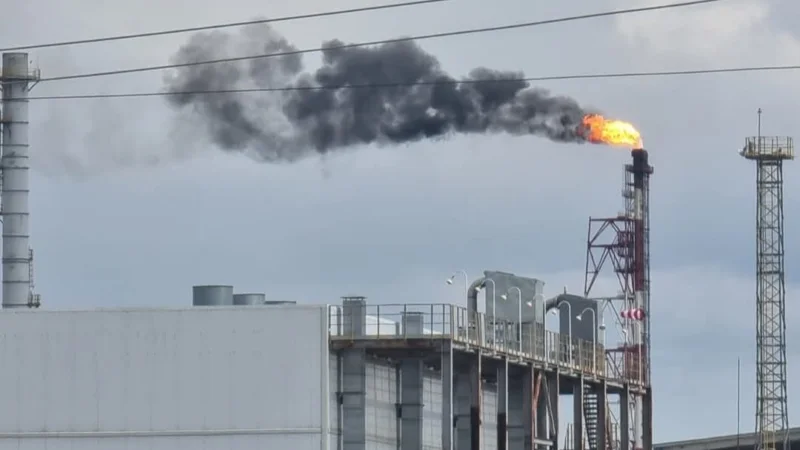 Әлеуметтік желіден алынды 