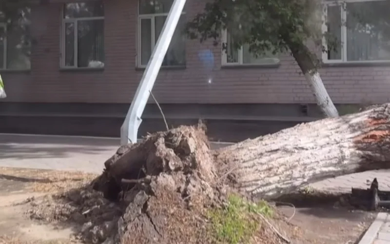 Нет света и падают деревья - в Костанае бушует ураган