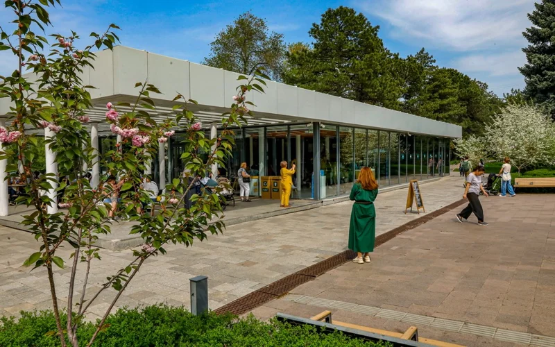 leto, pogoda, prıroda, tsvety, tıýlpany, botanıcheskıı sad, park
