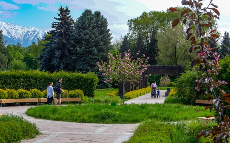 лето, погода, природа, цветы, тюльпаны, ботанический сад, парк
