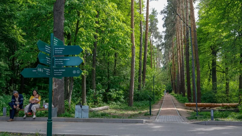 лето, погода, природа, цветы, тюльпаны, ботанический сад, парк