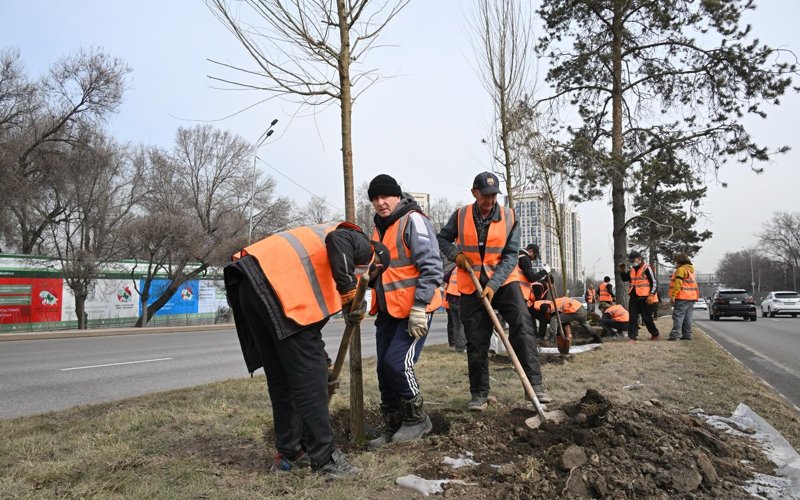 Ál-Farabı dańǵylyn kógaldandyrý jumystary nege túnde júrgizilmeıdi – ákimdik jaýaby Ál-Farabı dańǵylyn kógaldandyrý jumystary nege túnde júrgizilmeıdi – ákimdik jaýaby