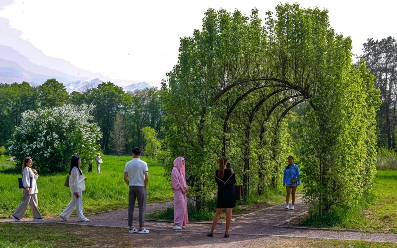 лето, погода, природа, цветы, тюльпаны, ботанический сад, парк