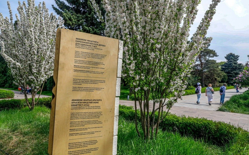 Алматының ботаникалық бағы 1 сәуірден бастап жаңа жұмыс кестесіне ауысады
