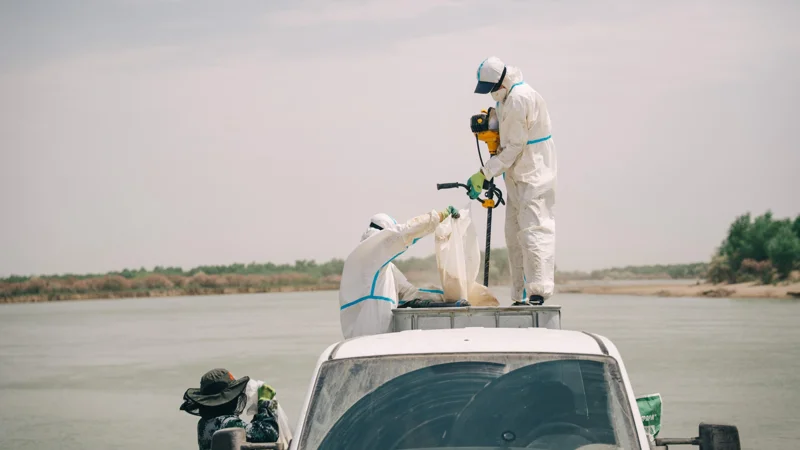 В Туркестане — нашествие комаров