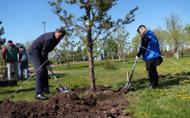 аллея в честь 60-летия ПРООН 