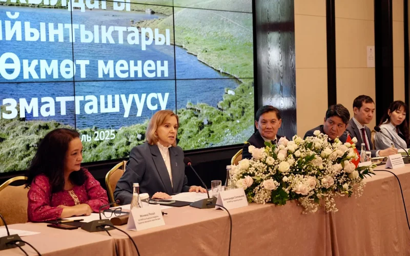 UNDP