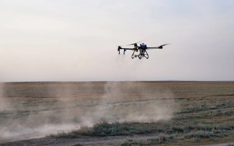 Более 348 тыс. га обработали от вредителей в Жамбылской и Туркестанской областях