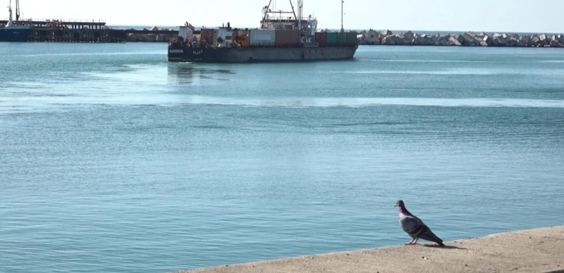 Ақтау порты