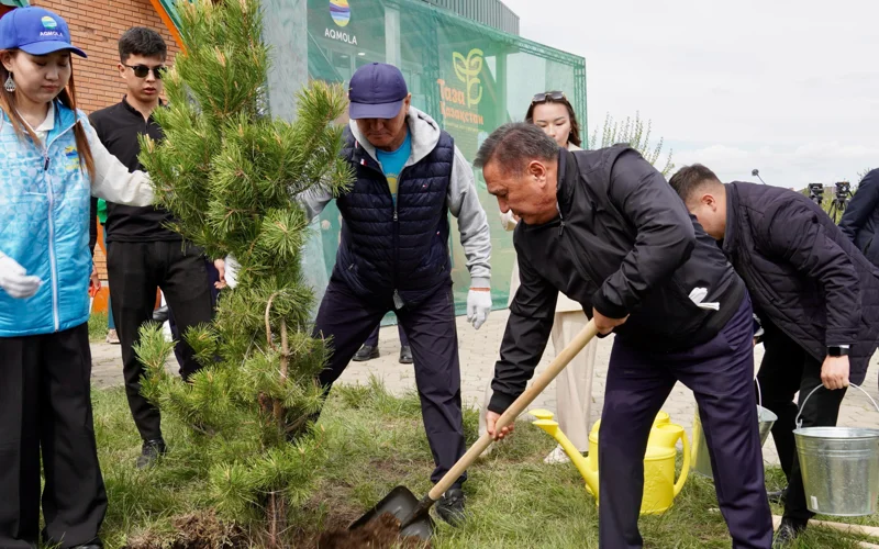 Зелёный тренд: Кокшетау поддержал акцию «Таза Қазақстан»