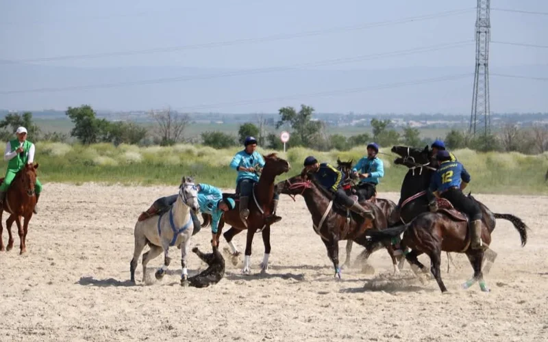 В Туркестанской области стартовали республиканские соревнования по кокпару