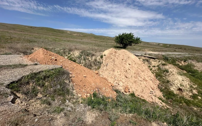 Стихийная свалка останков скота у трассы возмутила жителей Жетысу