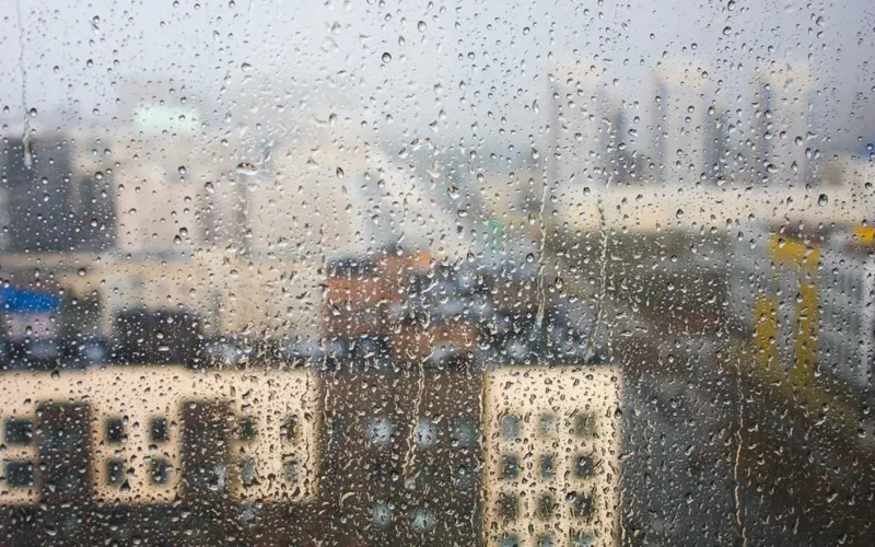 rain