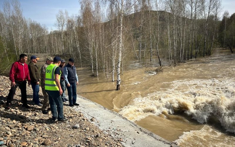 Пик паводка в районе Алтай в ВКО пройден Пик паводка в районе Алтай в ВКО пройден