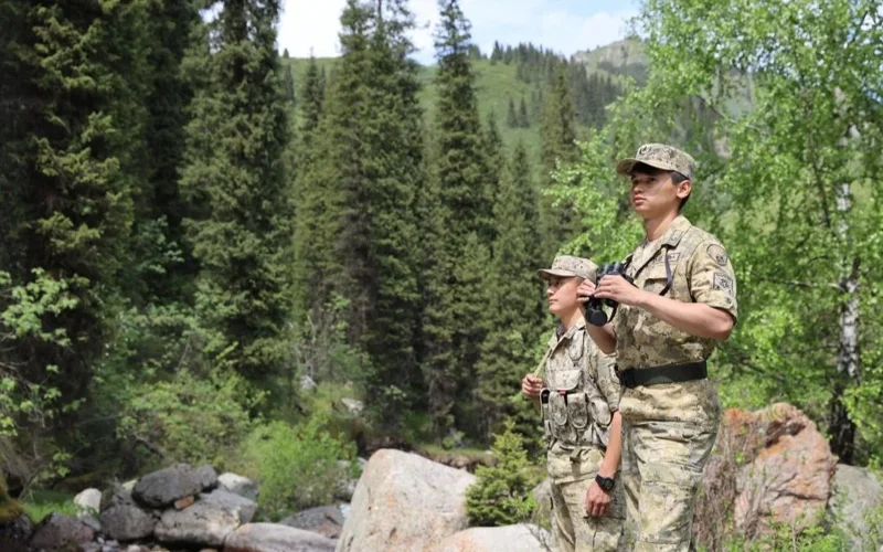 ҰҚК: Шекара кеңістігінде Қазақстан заңнамасын бұзған 4 323 адам жауапқа тартылды