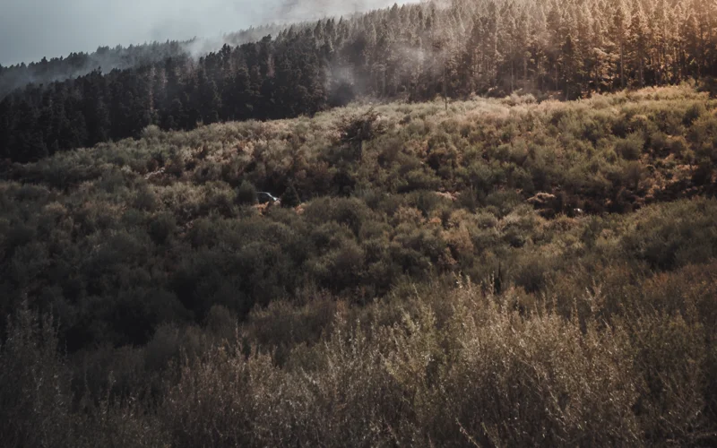 пожарная опасность