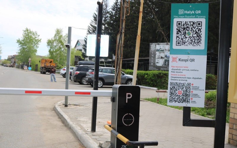 Ұлттық паркке кіргенде кідірістен қалай сақтануға болады Ұлттық паркке кіргенде кідірістен қалай сақтануға болады