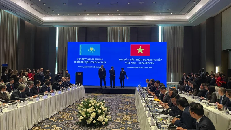 Вьетнамдық инвестор Qazaq Air әуе компаниясының атауын өзгертті