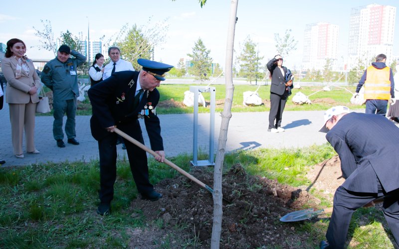На вокзальном комплексе «Нұрлы жол» прошла фотовыставка и высажено 80 деревьев в честь 80-летия Победы На вокзальном комплексе «Нұрлы жол» прошла фотовыставка и высажено 80 деревьев в честь 80-летия Победы