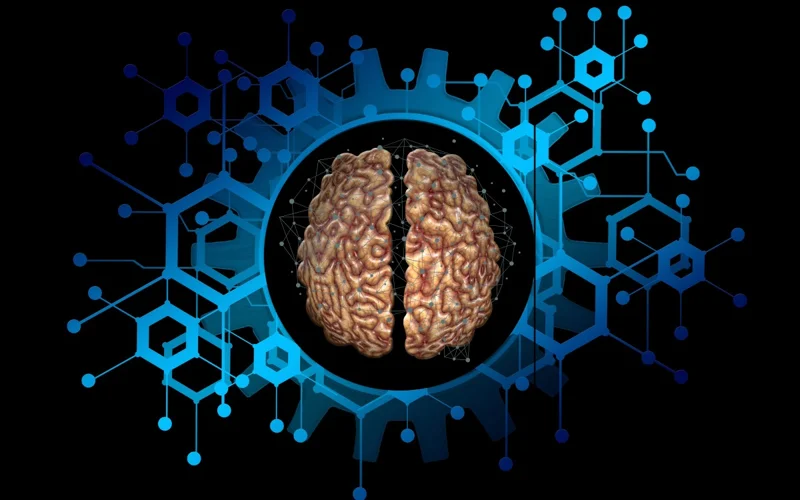 Brain, Neuralink